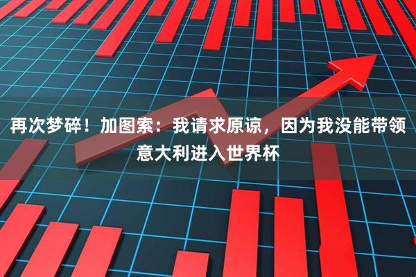 再次梦碎！加图索：我请求原谅，因为我没能带领意大利进入世界杯
