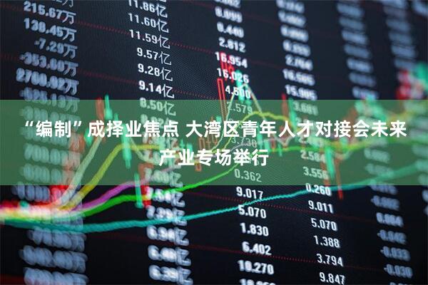 “编制”成择业焦点 大湾区青年人才对接会未来产业专场举行