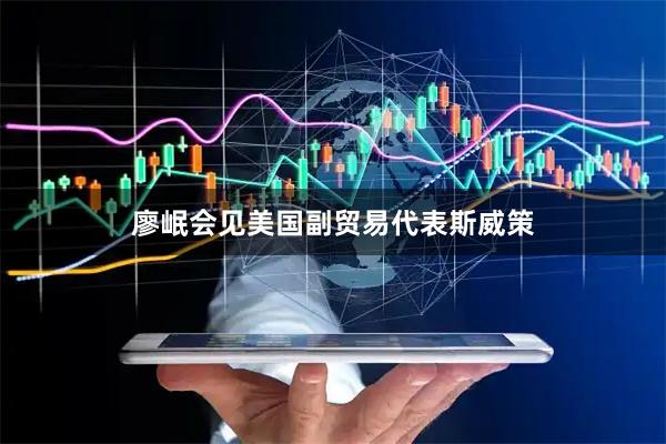 廖岷会见美国副贸易代表斯威策
